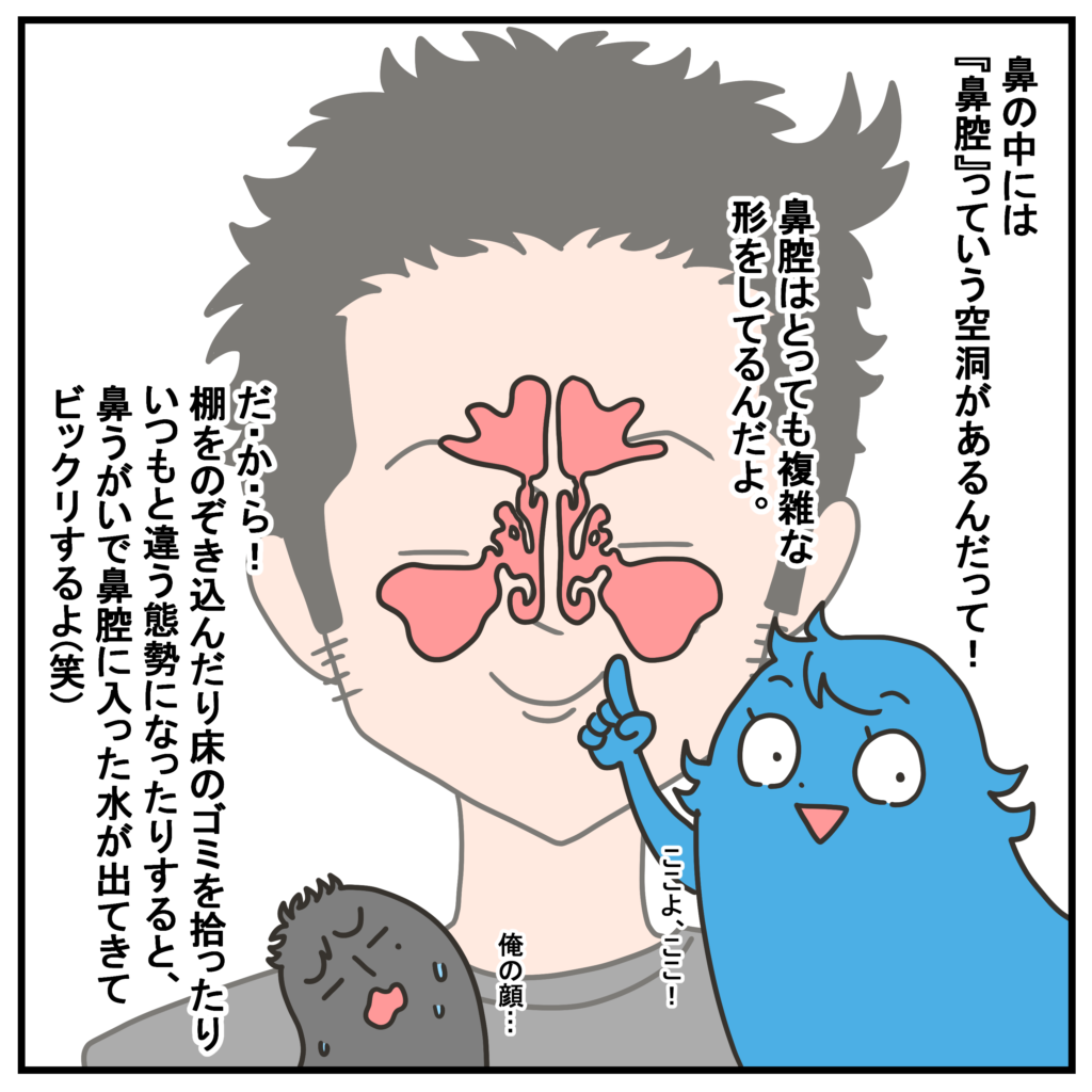 鼻 うがい デメリット